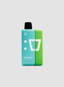 ELFBAR KIT EW9000